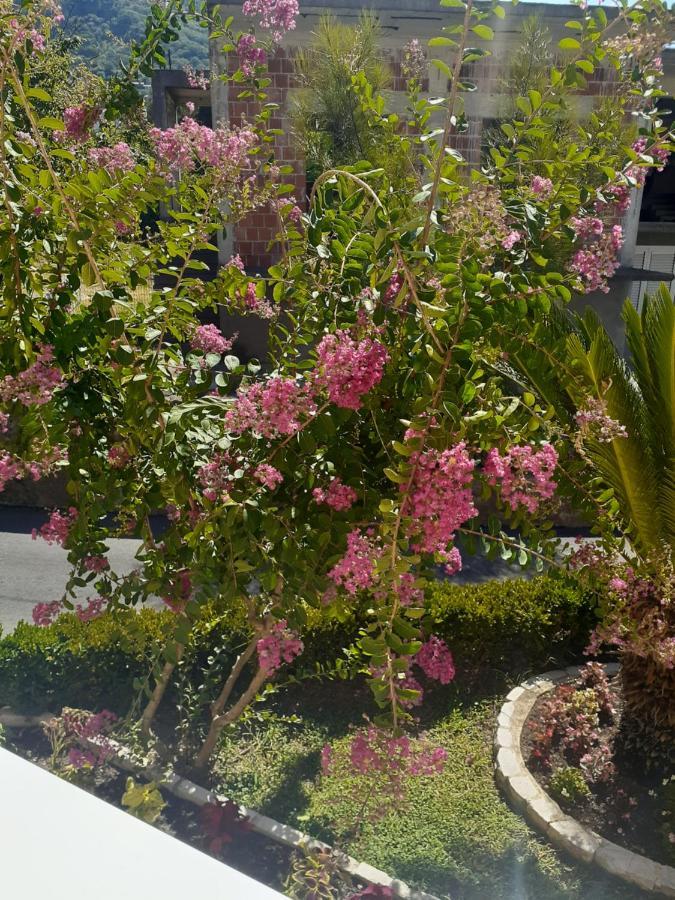 Apartmani Tanja Tivat Dış mekan fotoğraf